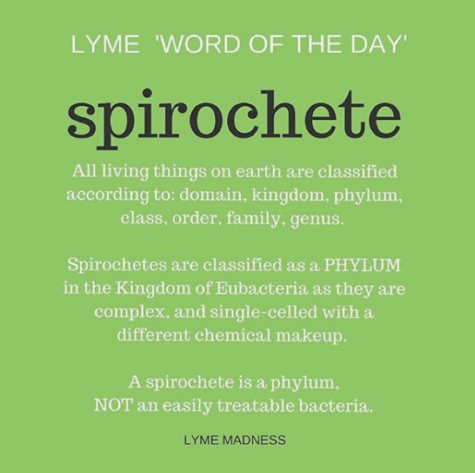 Schermafbeelding 2018-10-24 om 22.32.14