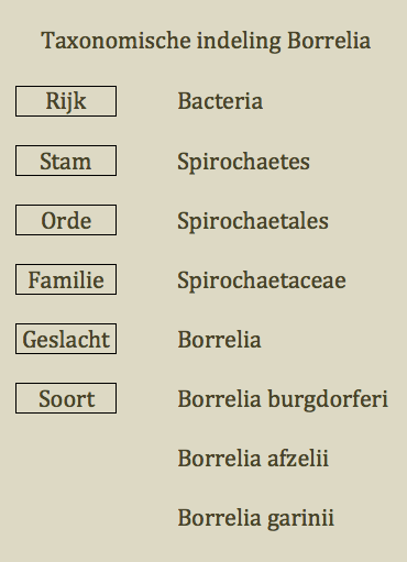 Schermafbeelding 2018-10-25 om 11.29.03