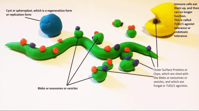 Schermafbeelding 2018-11-04 om 22.15.08