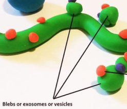 Schermafbeelding 2018-11-15 om 13.09.46
