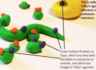 Schermafbeelding 2018-11-15 om 13.10.04
