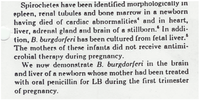 Schermafbeelding 2019-03-27 om 09.41.19