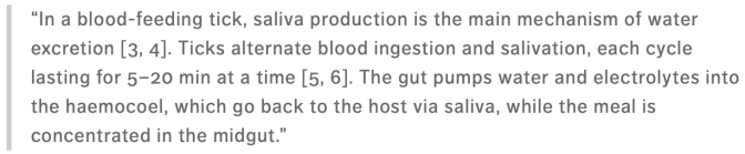 Schermafbeelding 2019-04-01 om 21.15.39